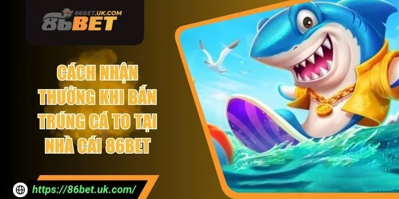 Cách Nhận Thưởng Khi Bắn Trúng Cá To Tại Nhà Cái 86BET 3 Cách Nhận Thưởng Khi Bắn Trúng Cá To Tại Nhà Cái 86BET